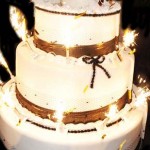 Your-on-fire-Miami-Beach-Florida-pop-out-large-cake-36