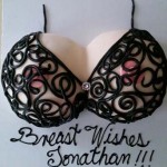 Arizona-Phoenix-Minted-Nipples-String-Bikini-Tits-cakes